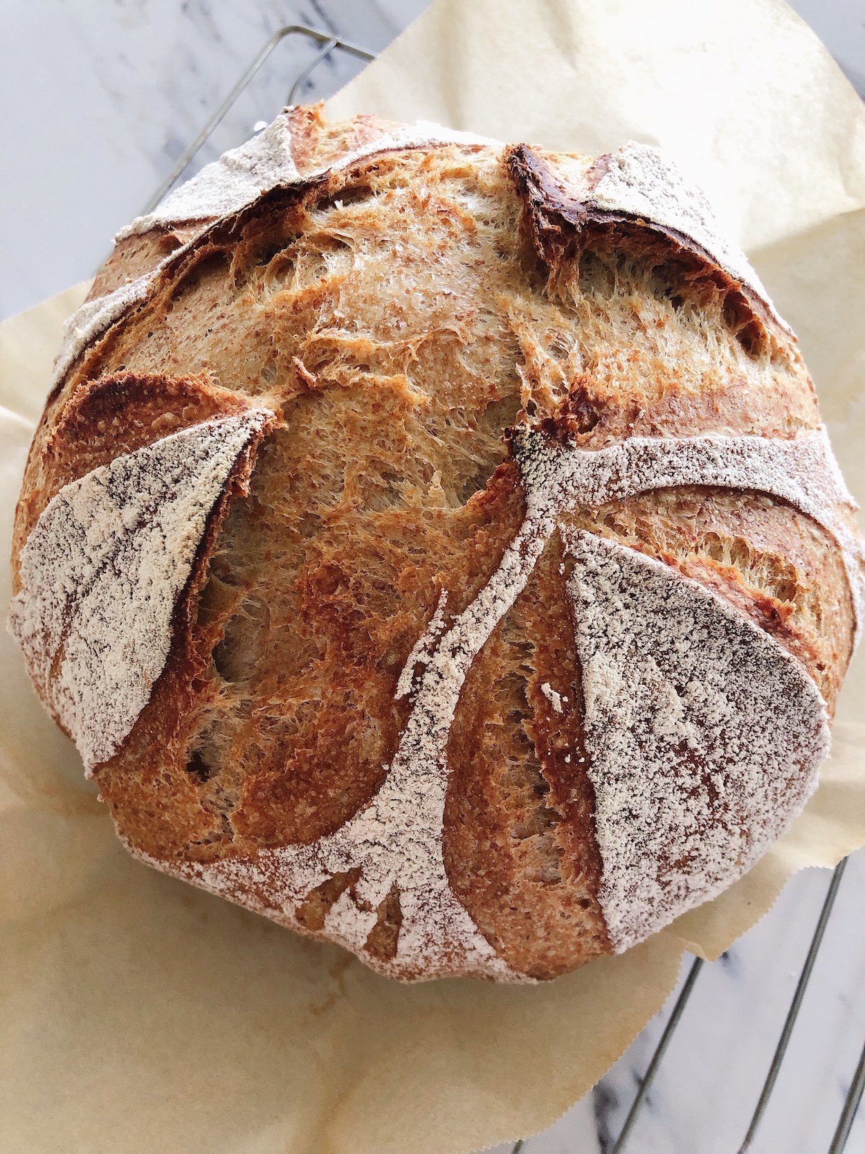 bread scorer, artisan - Whisk