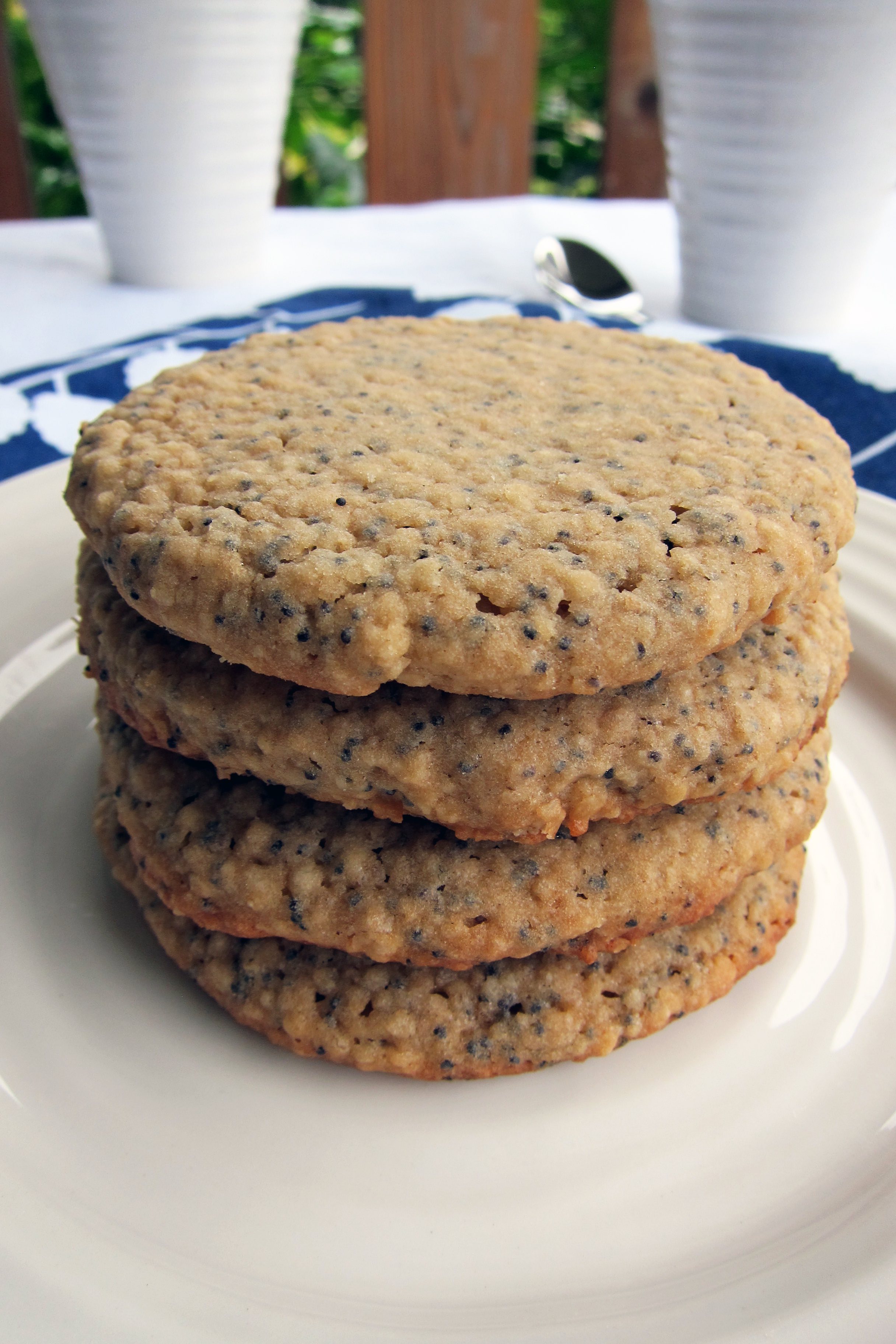 Poppy Seed Oatmeal Spelt Cookies | Accidental Artisan