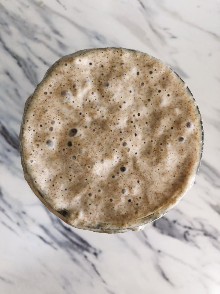 Top down view of bubbly looking rye sourdough starter