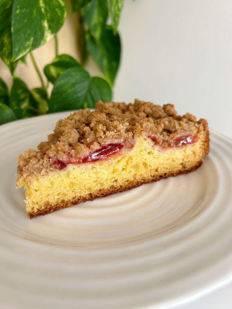 One slice of Plum Streusel Cake (Zwetschgenkuchen) on an angle to show the bottom layer of cake, the plums and the streusel topping.